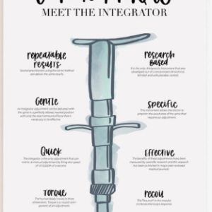 69-TRT Meet The Integrator